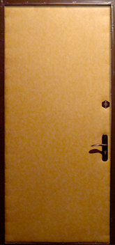 Фотография «Дверь Винилискожа №2»